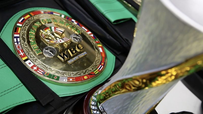 WBC ceinture